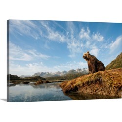 Large Gallery-Wrapped Canvas Wall Art Print 30 x 20 entitled Brown Bear And Mountains, Katmai National Park, Alaska