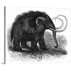 Large Solid-Faced Canvas Print Wall Art Print 30 x 24 entitled Woolly mammoth, 19th century artwork