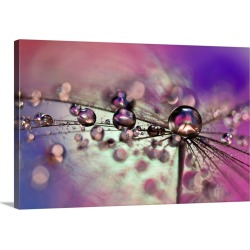 Large Solid-Faced Canvas Print Wall Art Print 30 x 20 entitled A Colorful Day