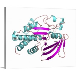 Large Solid-Faced Canvas Print Wall Art Print 30 x 24 entitled Protein tyrosine phosphatase molecule