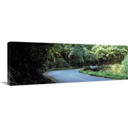 Large Solid-Faced Canvas Print Wall Art Print 48 x 16 entitled Road Hana Maui HI