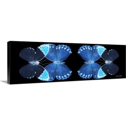 Large Solid-Faced Canvas Print Wall Art Print 48 x 16 entitled Miss Butterfly Duo Heboformo Pan - X-Ray Black Edition