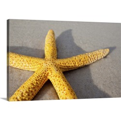 Large Solid-Faced Canvas Print Wall Art Print 30 x 20 entitled Yellow starfish on a sandy beach
