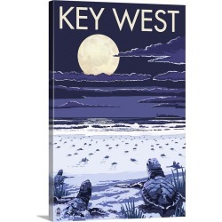 Large Gallery-Wrapped Canvas Wall Art Print 16 x 24 entitled Key West, Florida, Sea Turtles Hatching