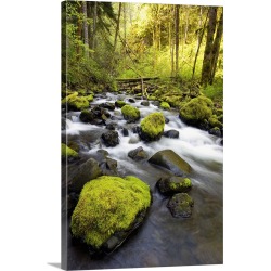 Large Solid-Faced Canvas Print Wall Art Print 20 x 30 entitled Water Flowing By Moss Covered Rocks In A Stream