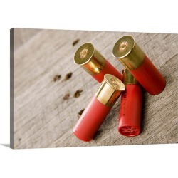 Large Gallery-Wrapped Canvas Wall Art Print 30 x 20 entitled Shotgun shells