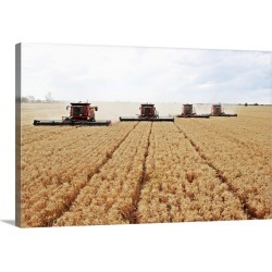 Large Solid-Faced Canvas Print Wall Art Print 30 x 20 entitled Combine harvesting wheat field