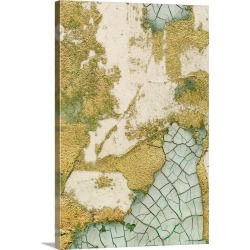 Large Solid-Faced Canvas Print Wall Art Print 20 x 30 entitled Biomes II