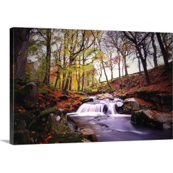Large Gallery-Wrapped Canvas Wall Art Print 24 x 16 entitled Cloghleagh Woods, Ireland