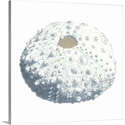 Large Solid-Faced Canvas Print Wall Art Print 20 x 20 entitled Seashore Souvenirs II