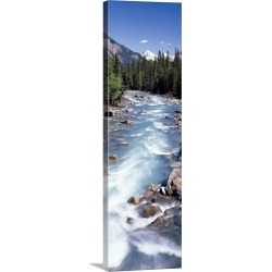 Large Solid-Faced Canvas Print Wall Art Print 16 x 48 entitled Yoho River Yoho Provincial Park British Columbia Canada