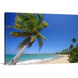 Large Solid-Faced Canvas Print Wall Art Print 30 x 20 entitled Tres Palmitas Beach