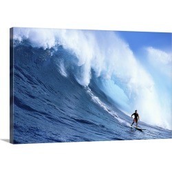 Large Gallery-Wrapped Canvas Wall Art Print 30 x 20 entitled Hawaii, Maui, Jaws, Sierra Emory Looks At Camera