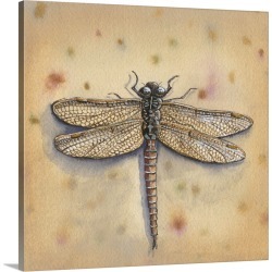 Large Solid-Faced Canvas Print Wall Art Print 20 x 20 entitled Pond Critters II