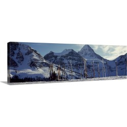 Large Solid-Faced Canvas Print Wall Art Print 48 x 16 entitled Skis and ski poles on a snow covered landscape, Mt Assinibo...