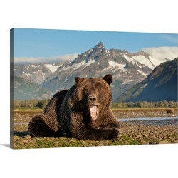Large Gallery-Wrapped Canvas Wall Art Print 30 x 20 entitled Grizzly Bear, Katmai National Park, Alaska