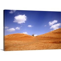 Large Solid-Faced Canvas Print Wall Art Print 30 x 20 entitled Slick Rock mountain bike trail near Moab
