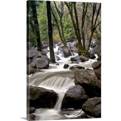 buy  Large Solid-Faced Canvas Print Wall Art Print 20 x 30 entitled Yosemite Falls, Yosemite, California cheap online