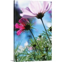 Large Gallery-Wrapped Canvas Wall Art Print 20 x 30 entitled Flowers in a field