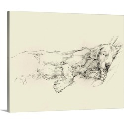 Large Gallery-Wrapped Canvas Wall Art Print 20 x 16 entitled Dog Days III