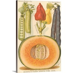 Large Solid-Faced Canvas Print Wall Art Print 20 x 30 entitled Melon, Beans and Peppers