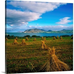 Large Gallery-Wrapped Canvas Wall Art Print 20 x 20 entitled Hay Bales In A Field, Ireland