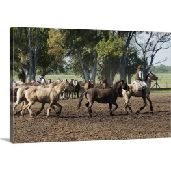 Large Gallery-Wrapped Canvas Wall Art Print 24 x 16 entitled A Gaucho working with a tropilla
