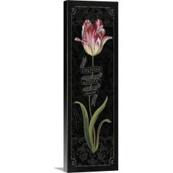 Large Solid-Faced Canvas Print Wall Art Print 16 x 48 entitled Tulipa Botanica III