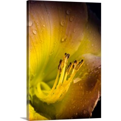 Large Solid-Faced Canvas Print Wall Art Print 20 x 30 entitled Close Up Of A Flower