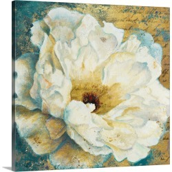 Large Solid-Faced Canvas Print Wall Art Print 20 x 20 entitled Zuzu Peony Gold I