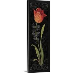 Large Solid-Faced Canvas Print Wall Art Print 16 x 48 entitled Tulipa Botanica II