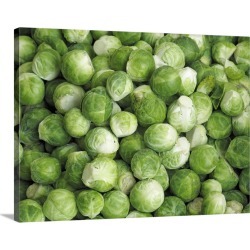 Large Solid-Faced Canvas Print Wall Art Print 40 x 30 entitled Fresh brussels sprouts