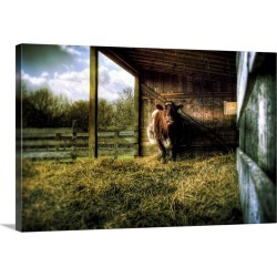 Large Gallery-Wrapped Canvas Wall Art Print 24 x 16 entitled A cow in a cow shed with hay