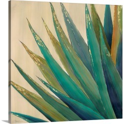 Large Solid-Faced Canvas Print Wall Art Print 20 x 20 entitled Wild Agave II