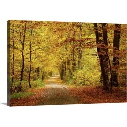 Large Gallery-Wrapped Canvas Wall Art Print 24 x 16 entitled Pathway In Autumn Forest