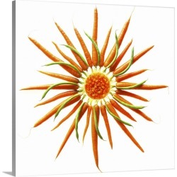 Large Solid-Faced Canvas Print Wall Art Print 20 x 20 entitled Wheel of Carrots and Green Beans