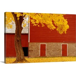 Large Gallery-Wrapped Canvas Wall Art Print 30 x 20 entitled Autumn Tree By Red Barn