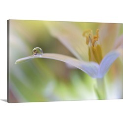Large Solid-Faced Canvas Print Wall Art Print 30 x 20 entitled Sunbeam