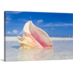 Large Gallery-Wrapped Canvas Wall Art Print 24 x 16 entitled Key Largo, Florida Keys, Florida