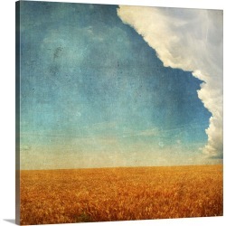 Large Solid-Faced Canvas Print Wall Art Print 20 x 20 entitled Wheat field with textured storm