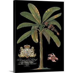 Large Solid-Faced Canvas Print Wall Art Print 30 x 40 entitled Palm on Black II