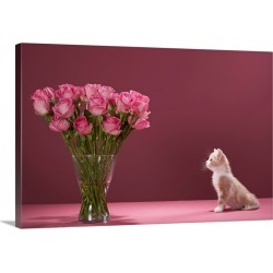 Large Solid-Faced Canvas Print Wall Art Print 30 x 20 entitled Kitten admiring vase of roses