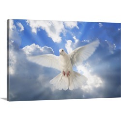 Large Gallery-Wrapped Canvas Wall Art Print 24 x 16 entitled A Dove In The Sky