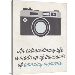 Large Gallery-Wrapped Canvas Wall Art Print 19 x 24 entitled Camera, cream