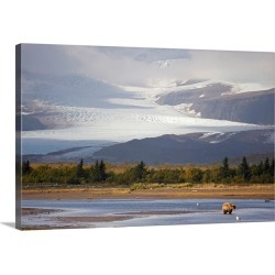 Large Gallery-Wrapped Canvas Wall Art Print 30 x 20 entitled Young Grizzly fishing at Hallo Bay, Katmai National Park, Alaska