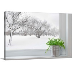 Large Gallery-Wrapped Canvas Wall Art Print 24 x 16 entitled Winter Landscape Seen Through The Window With A Green Plant