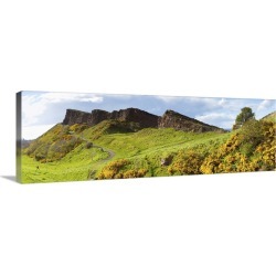 Large Gallery-Wrapped Canvas Wall Art Print 30 x 10 entitled Gorse bushes growing on Arthur's Seat, Edinburgh, Scotland