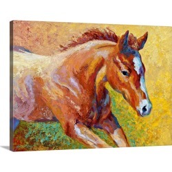 Large Solid-Faced Canvas Print Wall Art Print 40 x 30 entitled Sorrel Filly