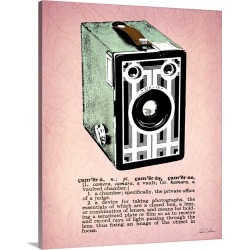 Large Gallery-Wrapped Canvas Wall Art Print 19 x 24 entitled Camera