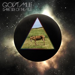 Gov't Mule - Dark Side Of The Mule Digital Download